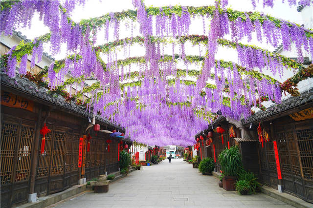 春天的婺源：中国最美乡村的诗画田园，穿越千年，梦里老家