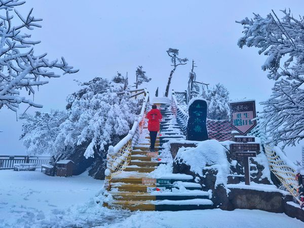 老界岭|南阳老界岭迎来连续降雪 厚度达25厘米