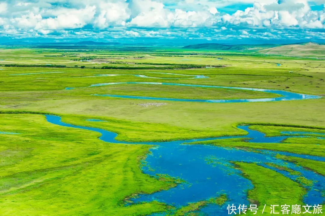 樟子松|这个夏天，我劝你一定要去一次内蒙古 ！