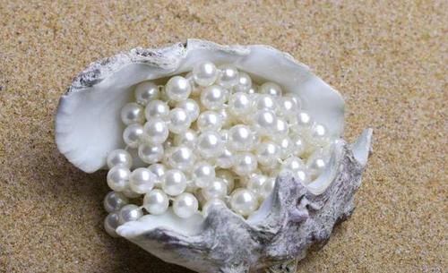  取自|除了点翠外，历史上还有哪些取自动物的珍宝？