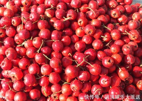 常吃|夏天了,常吃5种水果养肝,能护肝降脂,增强身体免疫力