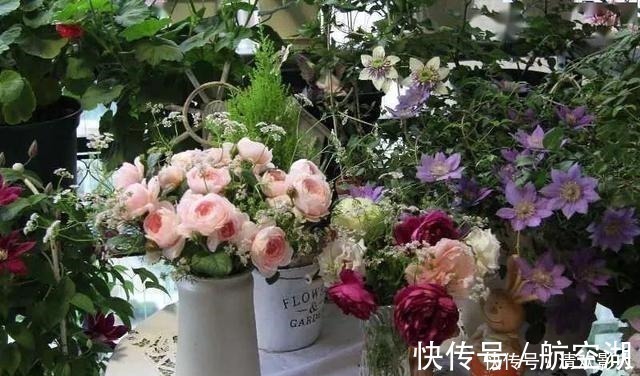 造园|7㎡迷你“阳台造园”小阳台这样布置,也能美成的花园!