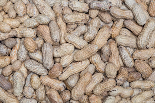 血糖|糖尿病,到底能不能吃花生?这篇文章告诉你真相!