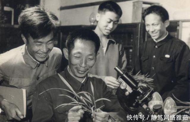 科学|袁隆平书法:他的书法质朴厚道,风骨遒劲透露书卷气