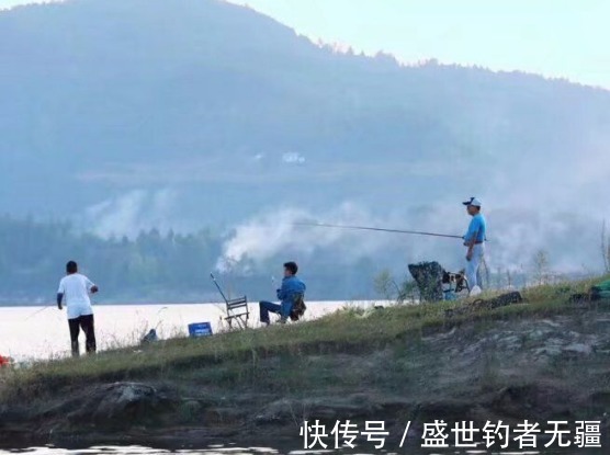 草鱼|夏季野钓草鱼,这款饵可以让它疯咬不止,上鱼不断——盛世三渔