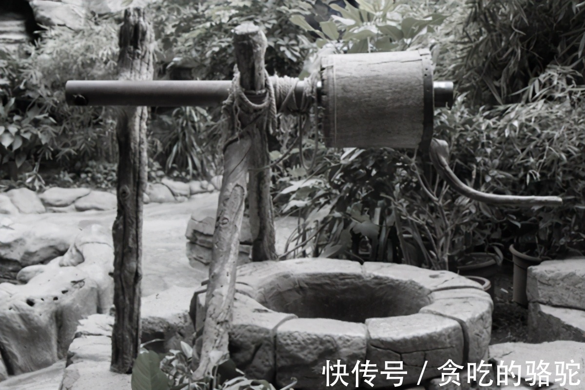 丁秋#古代一件伦理案,没有一人被杀,两个女人仍达到了目的,报仇成功