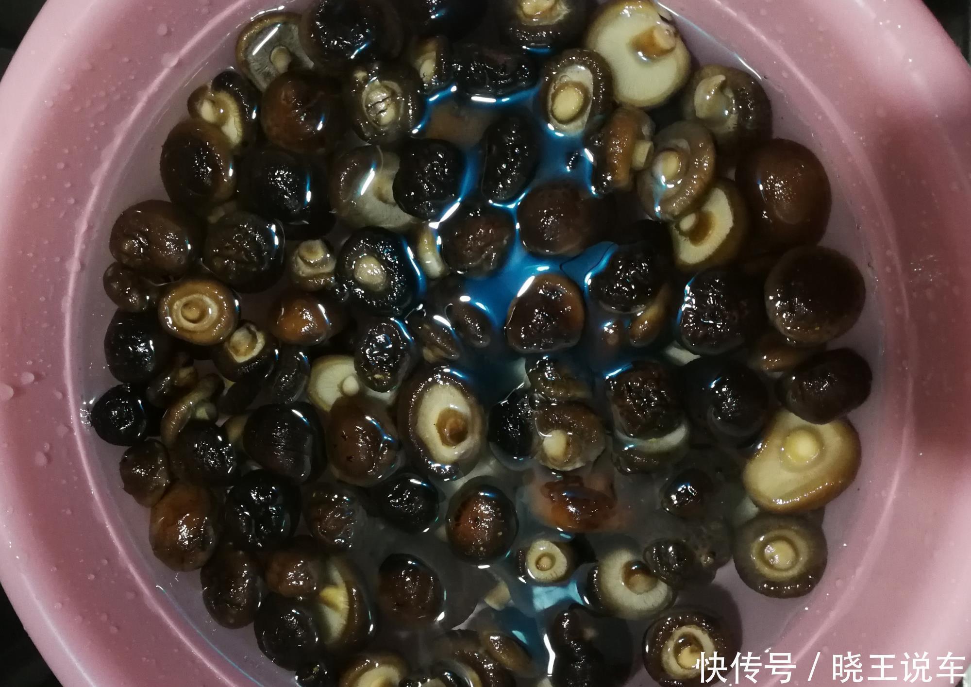 香菇包饺子，牢记3种步骤，很多人不懂，难怪没有饺子馆做的好吃