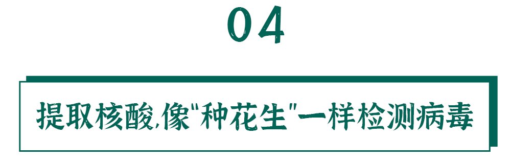 采样|核酸的检测有多麻烦？看完我都不好意思催结果了