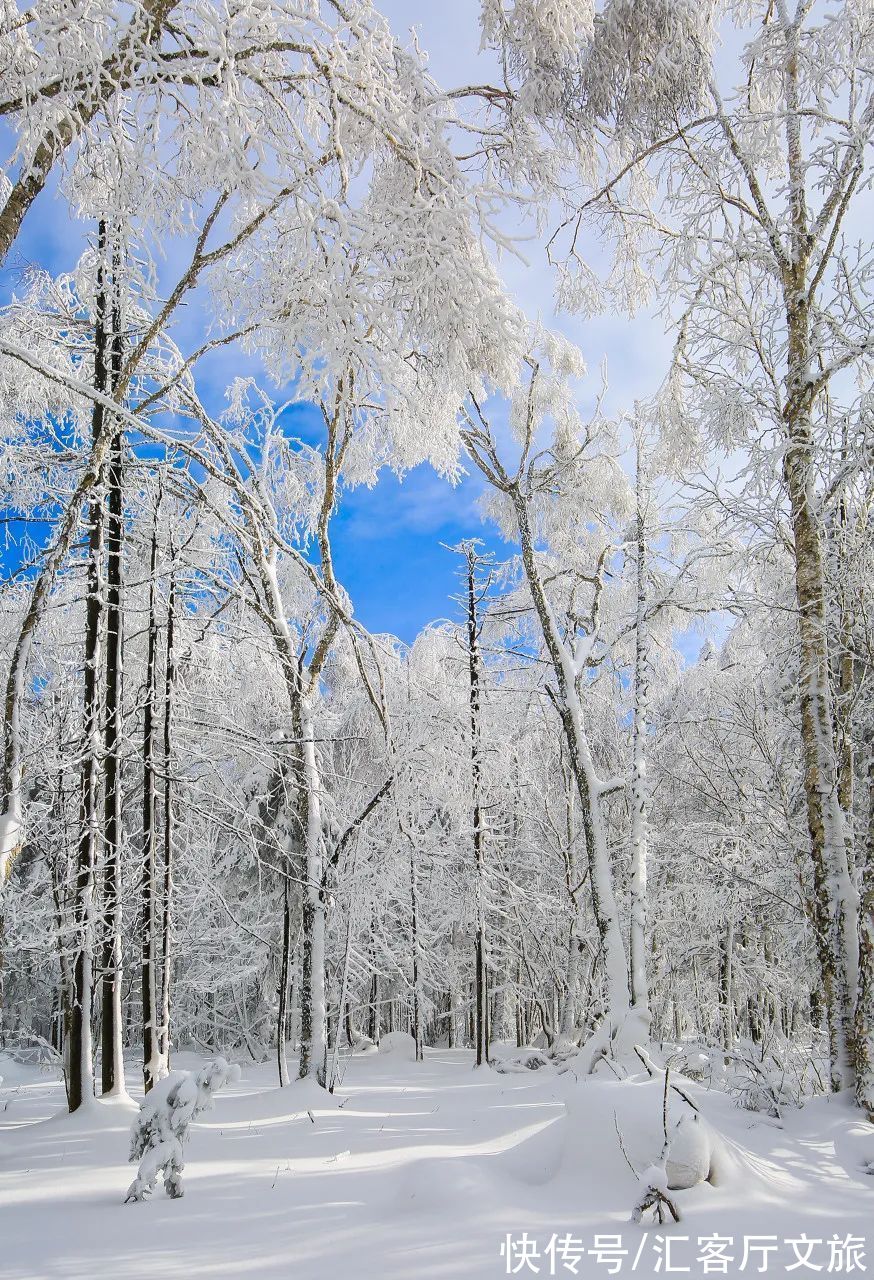 哈尔滨|这才是跟冬天最配的自驾线，沿途雪景美成童话，错过再等一年