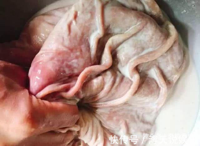 胃粘膜|花生加一宝,养胃最厉害,修复胃粘膜,胃不好的人这汤要多喝