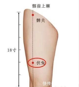 伏兔穴|自己敲打大腿，就能治疗腰椎间盘突出、腰痛腿疼、腰肌劳损