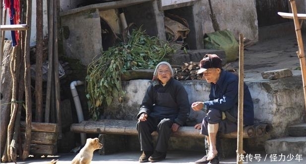 红糖|农村俗语:“男要喝红茶,女要吃红糖”,你知道什么意思吗?