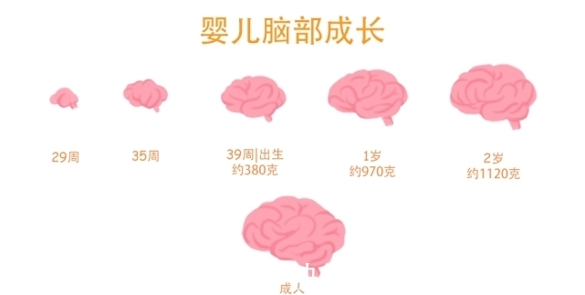 生产|为何动物的生产那么轻松,而人类分娩却疼得撕心裂肺?