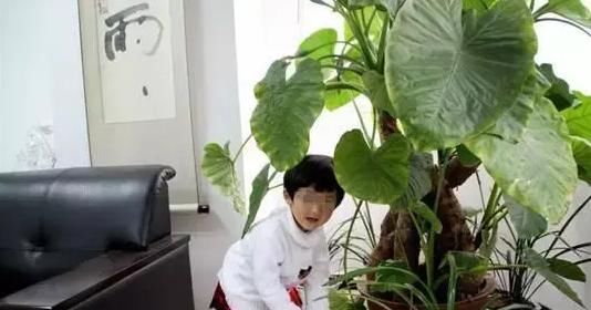 误区|养花这些误区,事关生死,不能犯错!