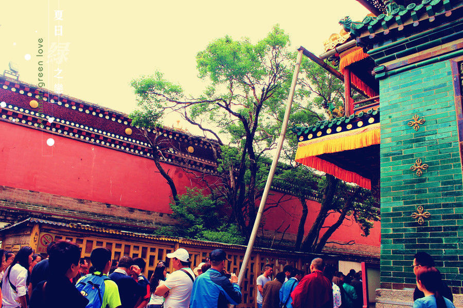  六大|酥油花、壁画、堆绣，中国藏传佛教六大寺院——塔尔寺