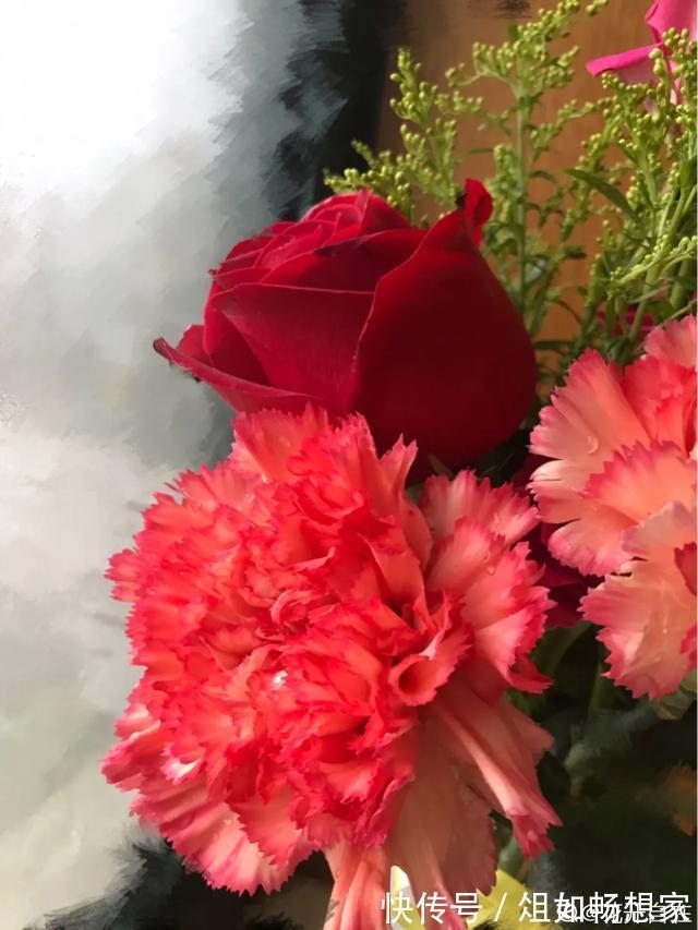 这花爆开50朵,剪几枝送人倍有面子,比买鲜花强多了!