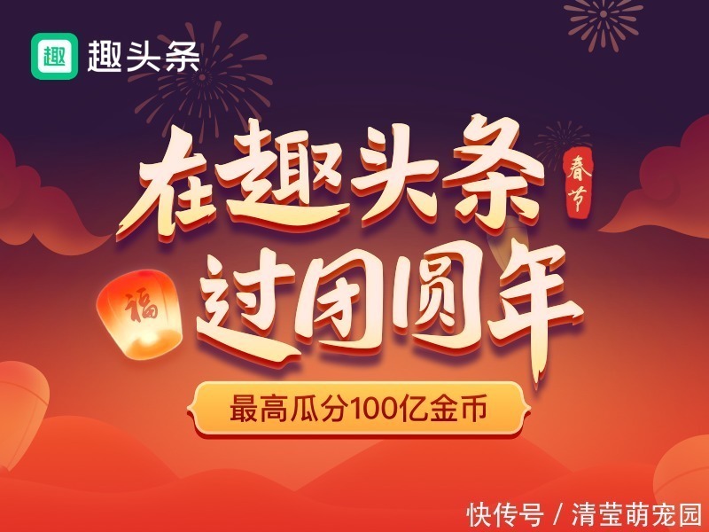 酒瓶|养花缺少花盆的话，多收集些它们“加工”就够了！