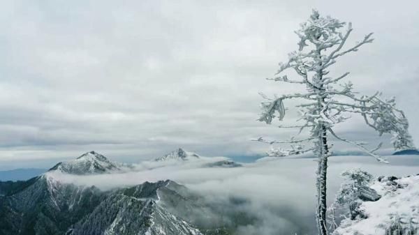 雪景|就在广元过年！这些春节旅游新玩法，给你安排得明明白白！