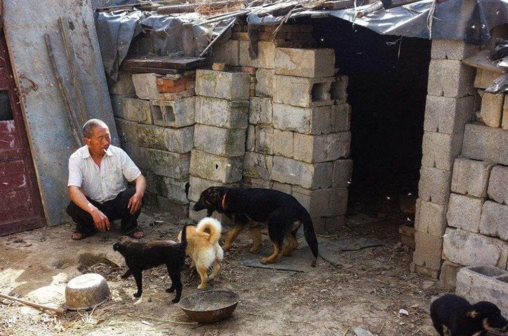 三国演义中#老祖宗的忠告:“喂狗别喂饱”是什么意思?其实后半句才是重点