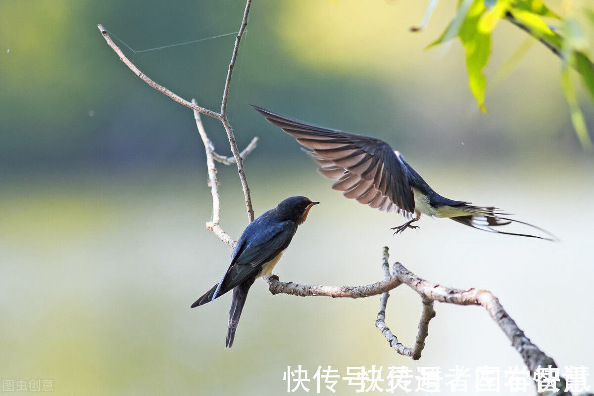 水彩#吴琼媛女士《荏苒》艺术：来世不可待，往事不可追