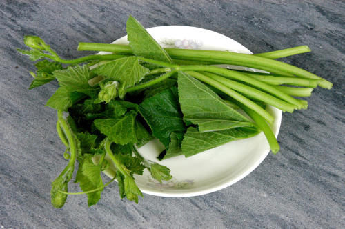 南瓜藤|这种瓜的叶子是个宝，降压、戒烟、打结石，可惜知道的人太少了