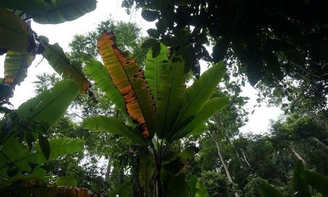 下联|4副不出名却妙笔生花的对联,让人耳目一新,佩服作者才华