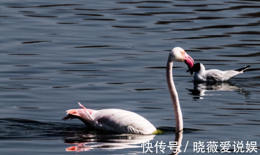 六悔铭|这篇传世奇文,全文仅42个字,说尽了人生六大悔事