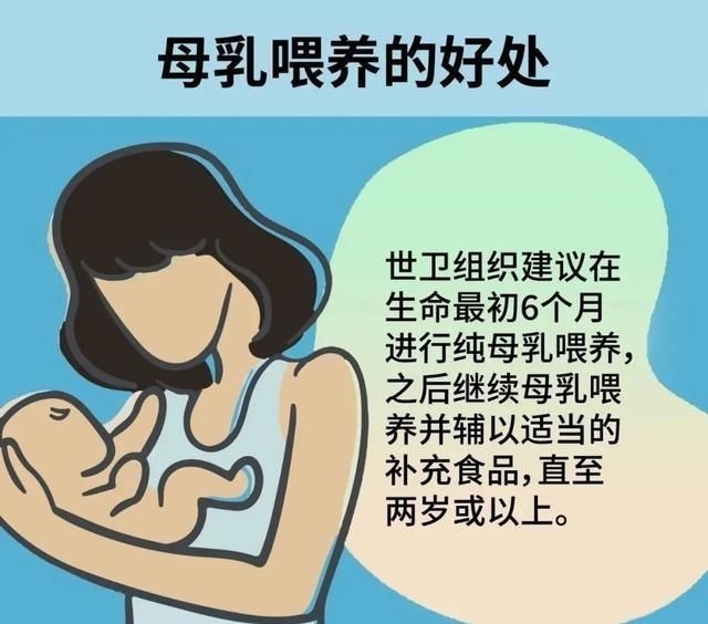 营养物质|世界母乳喂养周母乳喂养相关知识，一篇全知道