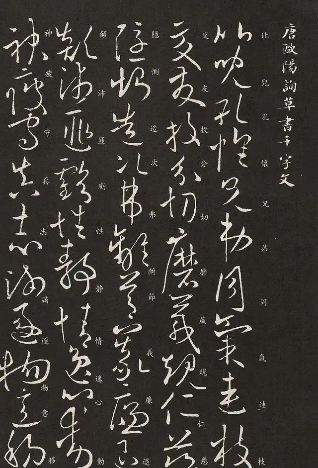 千字文!欧阳询的草书被发现,只有670个字,实力不在怀素之下!