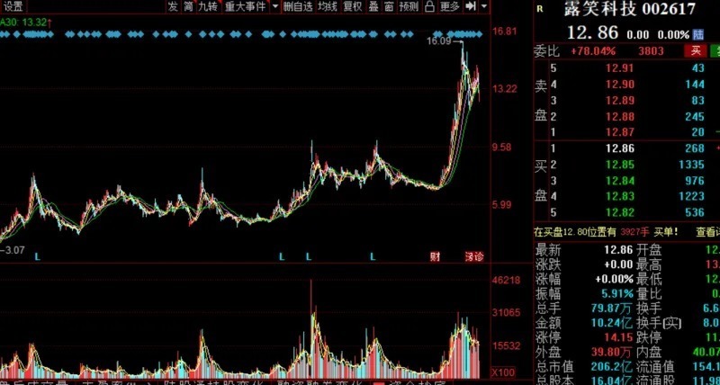 顺宇|露笑科技(002617):第三代半导体,暴涨背后有哪些“黑历史”?