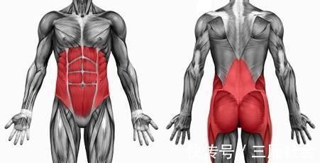 护膝|62岁的她坚持健身35年,肌肉仍饱满,如今的身体状态让人羡慕