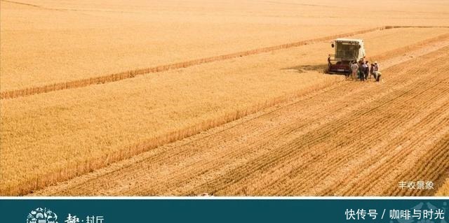 舌尖上的河南之新乡封丘来了!