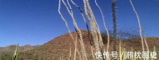 时尚杂志|外国真人秀复刻恐怖片!教你在丧尸吸血鬼杀人狂手下逃生