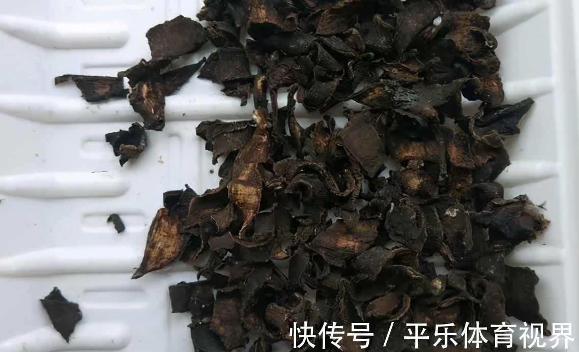 生活中哪些材料富含钾元素,该怎么处理拿来养花?