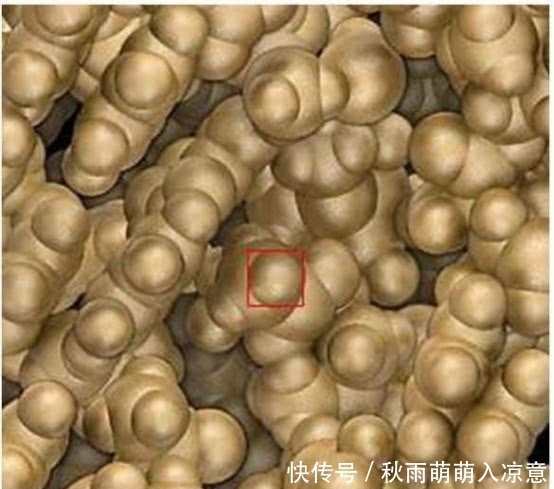 人类 将树叶放大一亿倍会看到什么?科学家:从未见过的“第二宇宙”