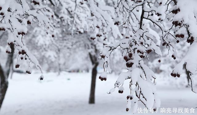节气|节气美食|大雪已至,多吃肉肉滋补一下~
