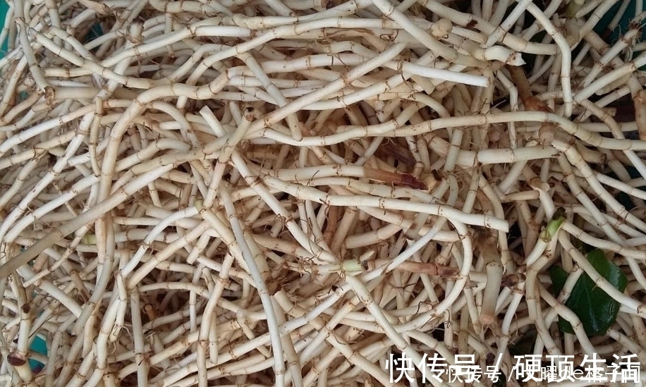 止咳|冬天要多喝这道汤，一年四季很少咳嗽，止咳效果比很多药材都强