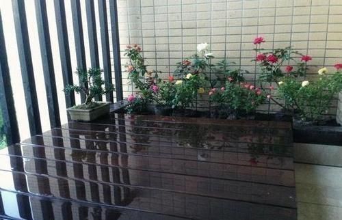 鱼池|在阳台上砌个鱼池，成本只花200元，亲戚朋友们都眼红了