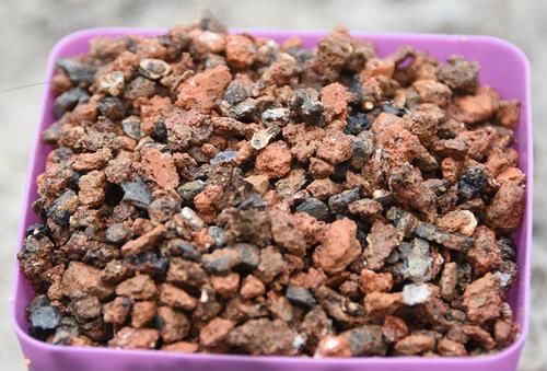 养花旧土先别扔，掺上3种材料，疏松肥沃，养啥花都王