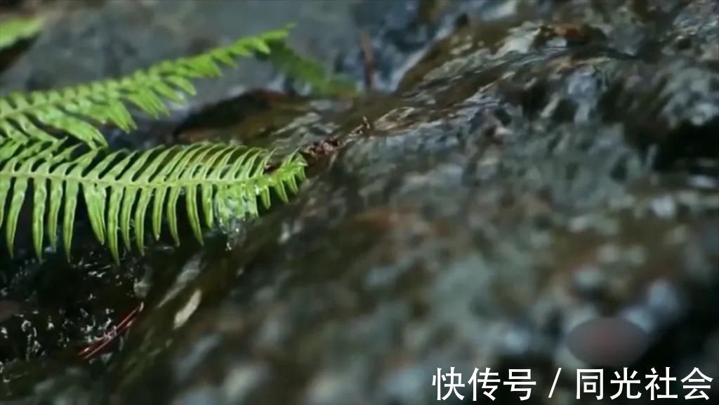 绘画&水韵风采的魅力,湘籍著名水彩画家蒋烨的追梦之路