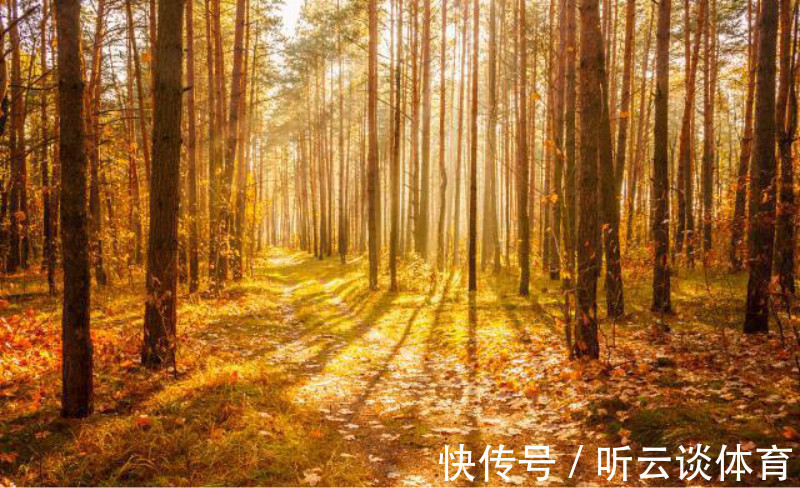 才子@辛弃疾的一句牢骚,被落魄才子巧对下半句,成一个家喻户晓的名句