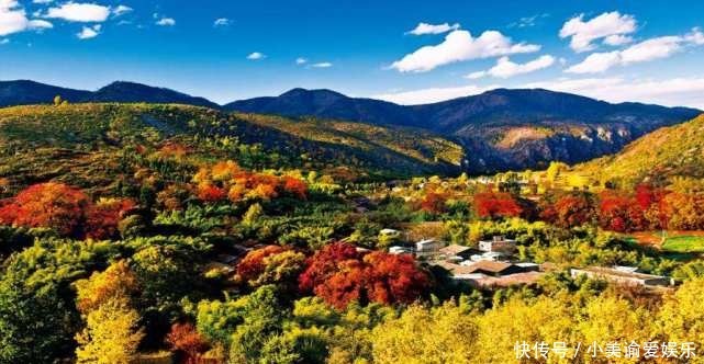 把研发的伤药秘方交给国家,今秘方价值千亿,子孙却成为普通人