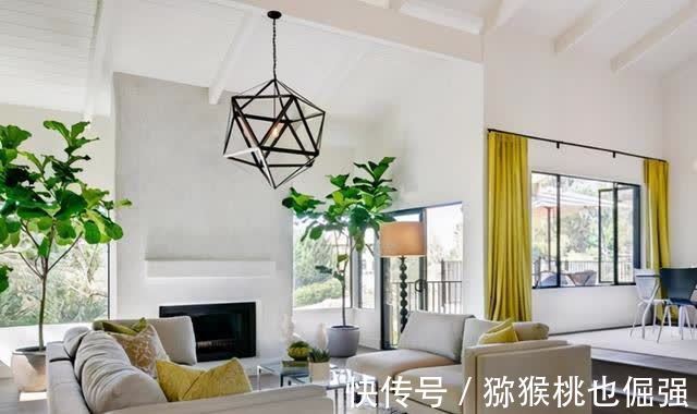 香雪兰|鲜花家里放,花旺“人不旺”,养花4个坑,人不健康,家不旺