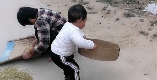 干活|“勤劳奶奶”带娃干农活火了,萌娃“尽情摇摆”的模样超起劲