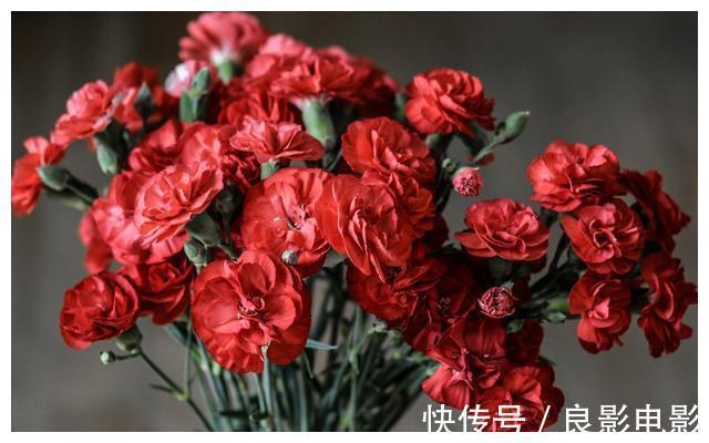 快穿之反派又黑化了|《快穿之反派又黑化了》:剧情有点老套,但真的上头。