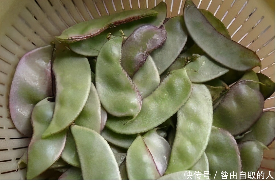 女性|女性推荐常吃3种食物,营养丰富,延缓衰老,早吃早好