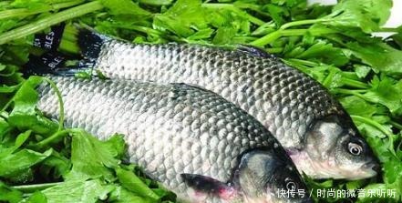 种鱼|公认最好吃的5种鱼,肉质细腻汤味鲜,全吃过的肯定是土豪!