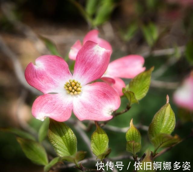 射手座|无可救药，牵手复合，破冰和好，情难自禁，余生深爱