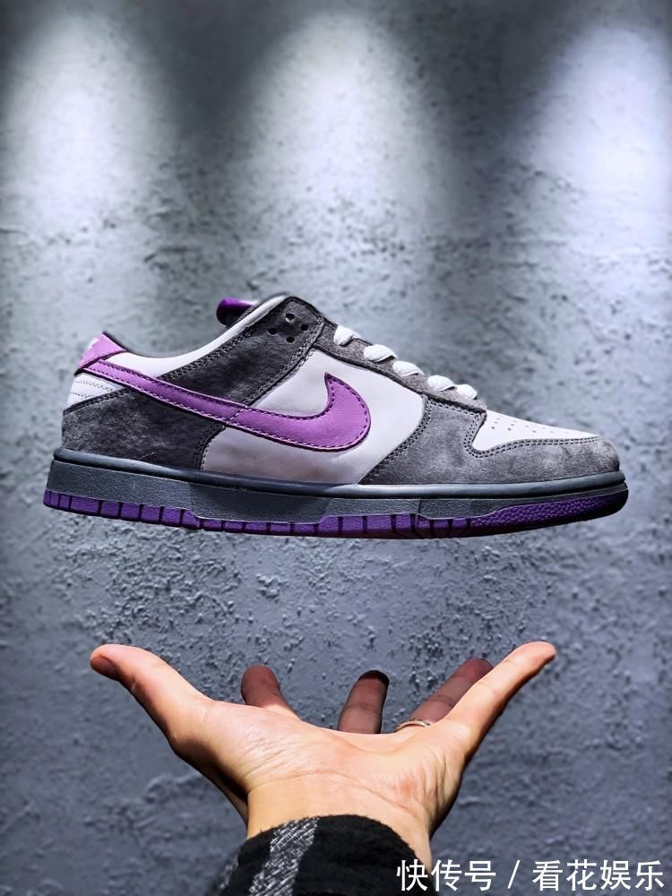 颜值爆表|黑鸽子见多了看看这款颜值爆表的紫鸽子吧!