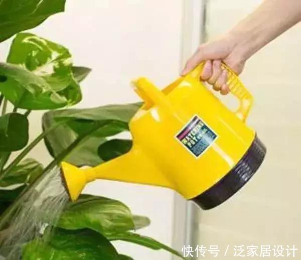这种水,被称之为“养花夺命水”,浇1盆死1盆,你还在用吗?